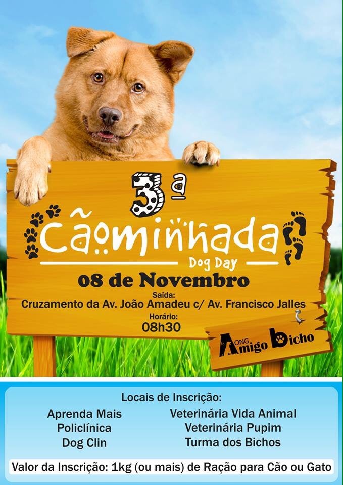 CÃOMINHADA DOG DAY FLAYER